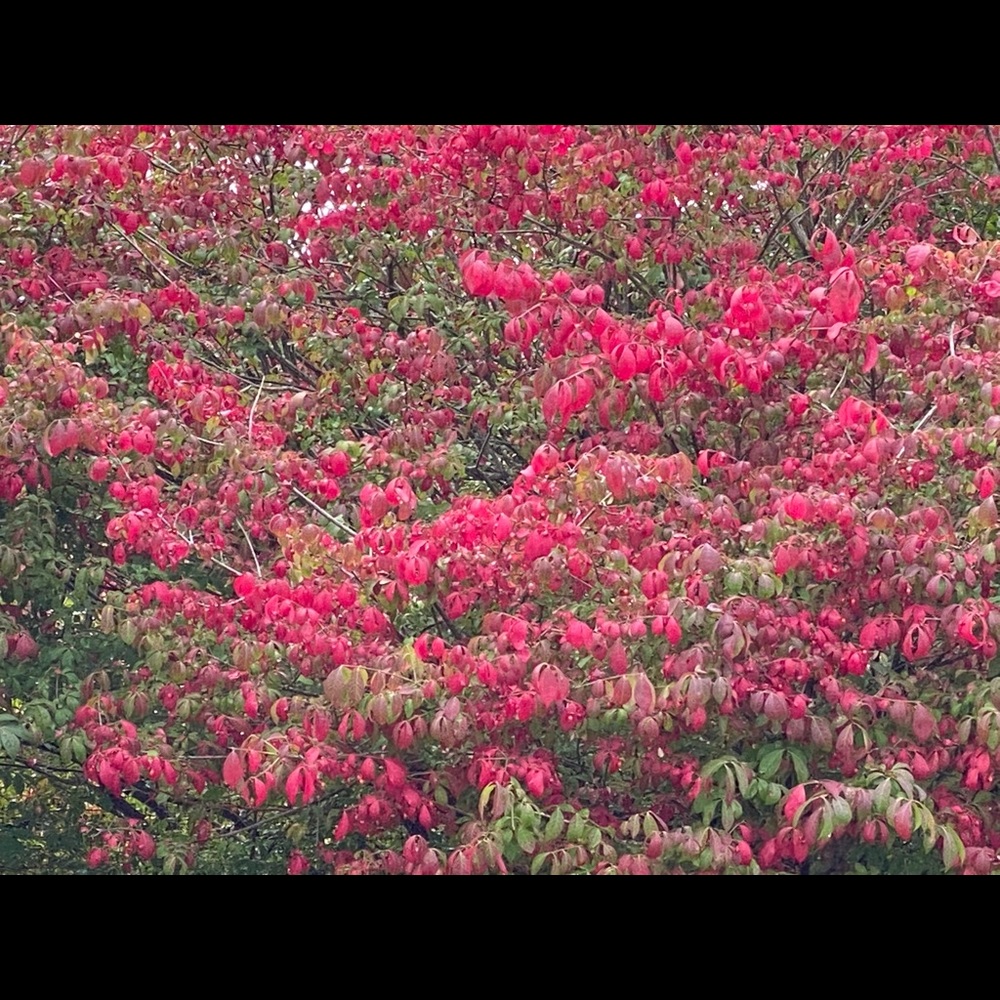 Meet your Posher, Cathy